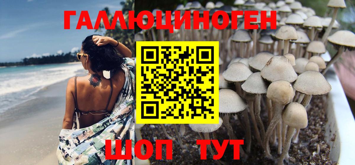 Псилоцибиновые грибы GOLDEN TEACHER Лысьва